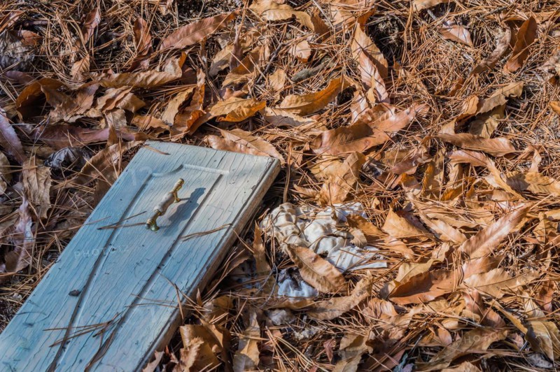An old raglies beside a wooden plank surrounded by dry autumn leaves, in South Korea