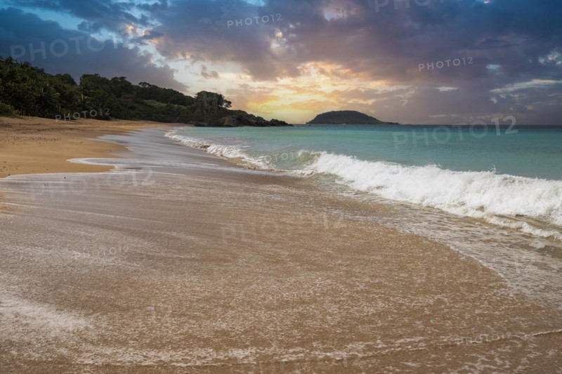 Lonely, wide sandy beach with turquoise-coloured sea. Tropical plants in a bay at sunset in the Caribbean. Plage de Cluny, Basse Terre, Guadeloupe, French Antilles, North America