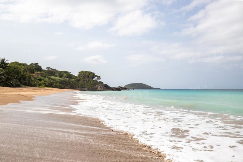 Lonely, wide sandy beach with turquoise-coloured sea. Tropical plants in a bay in the Caribbean sunshine. Plage de Cluny, Basse Terre, Guadeloupe, French Antilles, North America