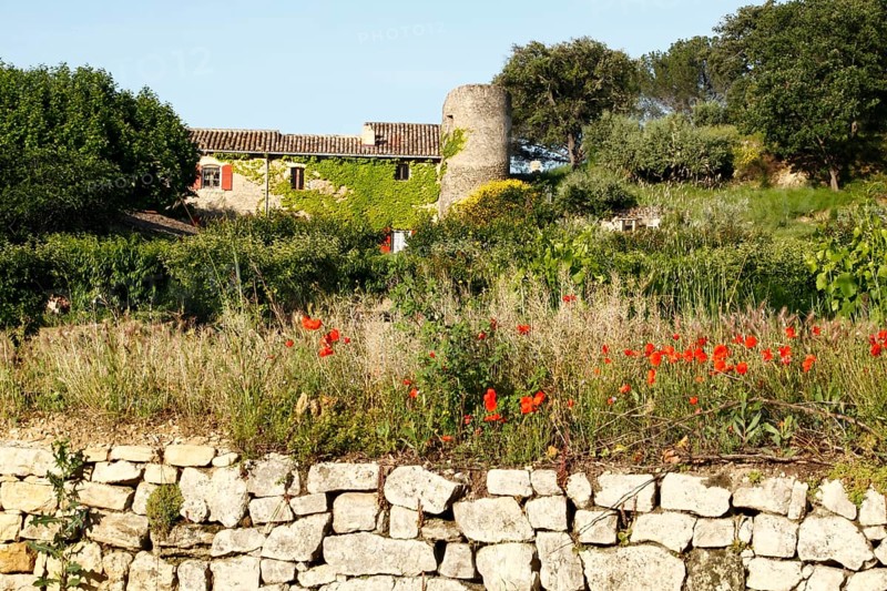 Lourmarin, Parc Naturel Regional du Luberon, Vaucluse, Provence, France, Europe