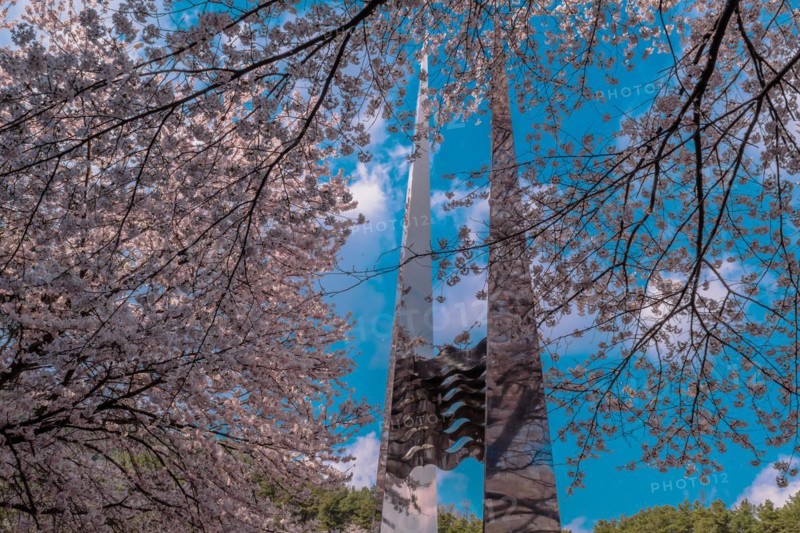 Two tall metal columns of memorial seen through cherry blossom tree branches against beautiful blue sky near Daejeon, South Korea, Asia