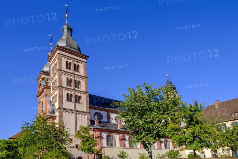 Monastery church, abbey church, Amorbach Monastery, Mainfranken, Lower Franconia, Franconia, Bavaria, Germany, Europe