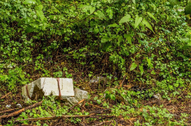 A white Styrofoam box among green leaves, illustrating waste in a forest setting, in South Korea