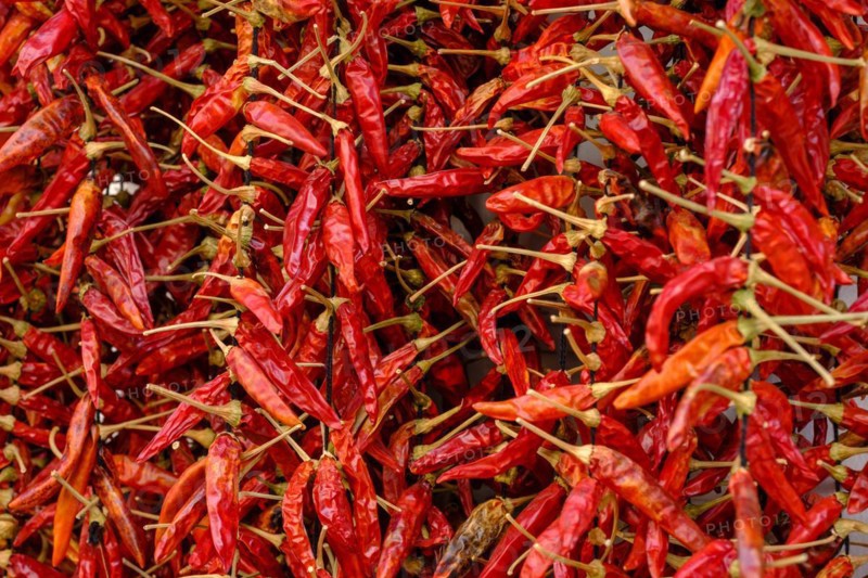 Chilli, dried peppers, pimentos, Palma de Majorca, Majorca, Balearic Islands, Spain, Europe