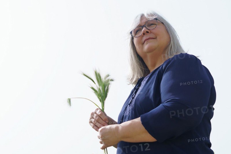 Older white haired woman in the field with ears of barley in her hands isolated on white background