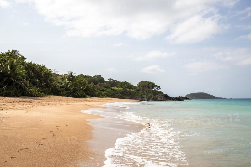 Lonely, wide sandy beach with turquoise-coloured sea. Tropical plants in a bay in the Caribbean sunshine. Plage de Cluny, Basse Terre, Guadeloupe, French Antilles, North America