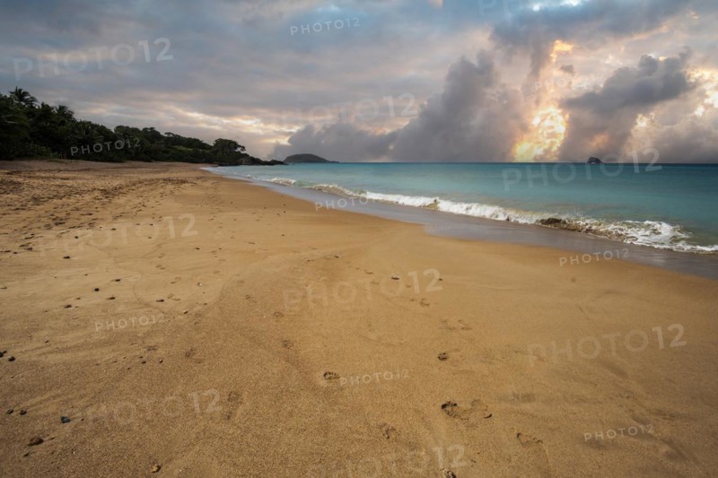Lonely, wide sandy beach with turquoise-coloured sea. Tropical plants in a bay at sunset in the Caribbean. Plage de Cluny, Basse Terre, Guadeloupe, French Antilles, North America