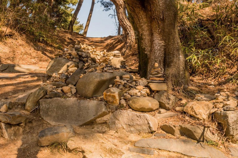 A rugged hiking trail with large rocks and tree roots on a steep forest incline, in South Korea