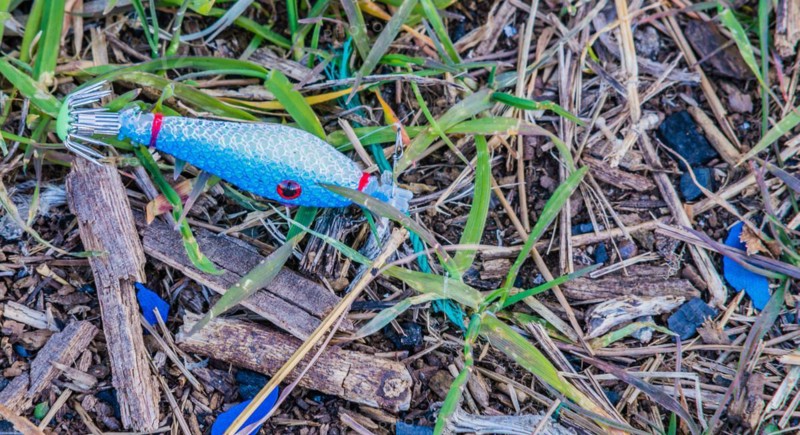 A colorful fishing lure rests on the grass, a tool for recreational fishing, in South Korea