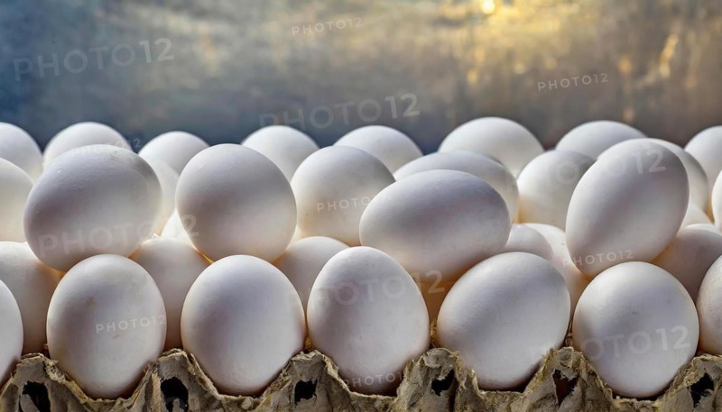 Food, fresh white hen's eggs, free range eggs, AI generated, AI generated