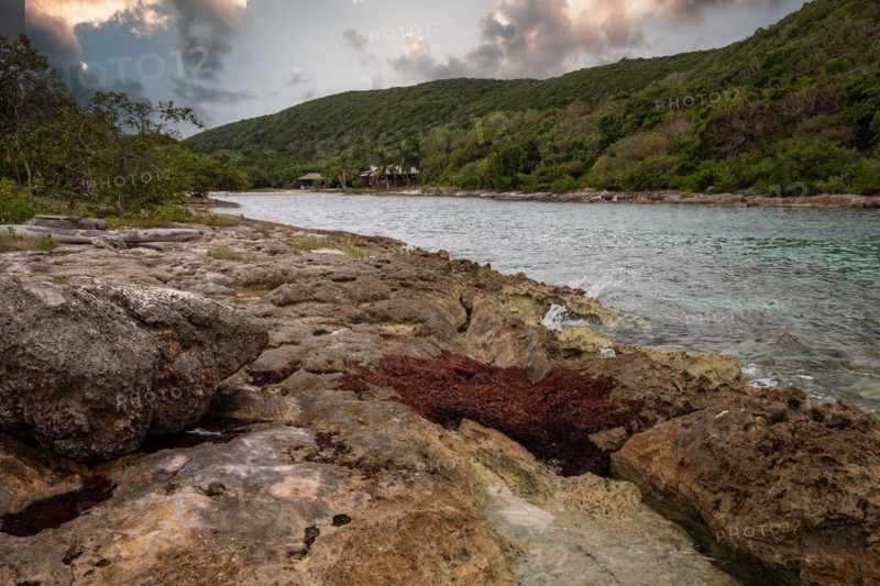 Rocky coast, long bay by the sea at sunset. Dangerous view of the Caribbean Sea. Tropical climate on a cloudy day in La Porte d'Enfer, Grande Terre, Guadeloupe, French Antilles, North America