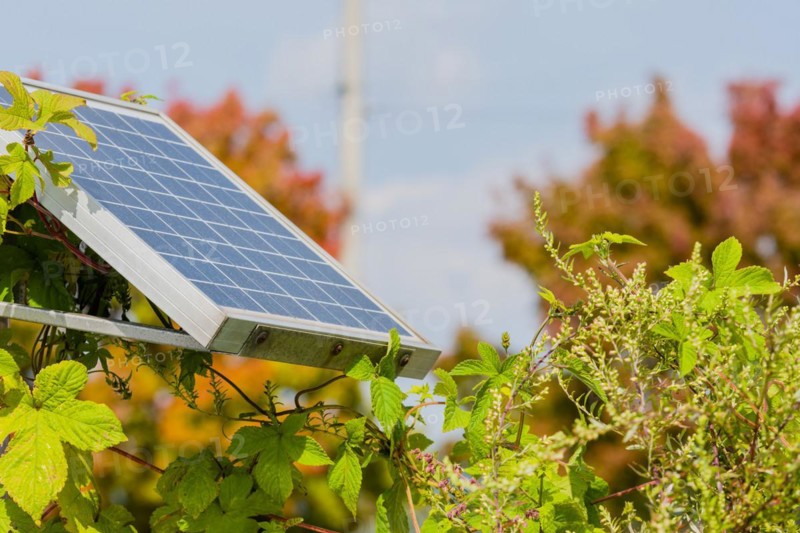 Closeup of small solar panel attached to metal support frame surrounded by green foliage with blurred background in Daejeon, South Korea, Asia