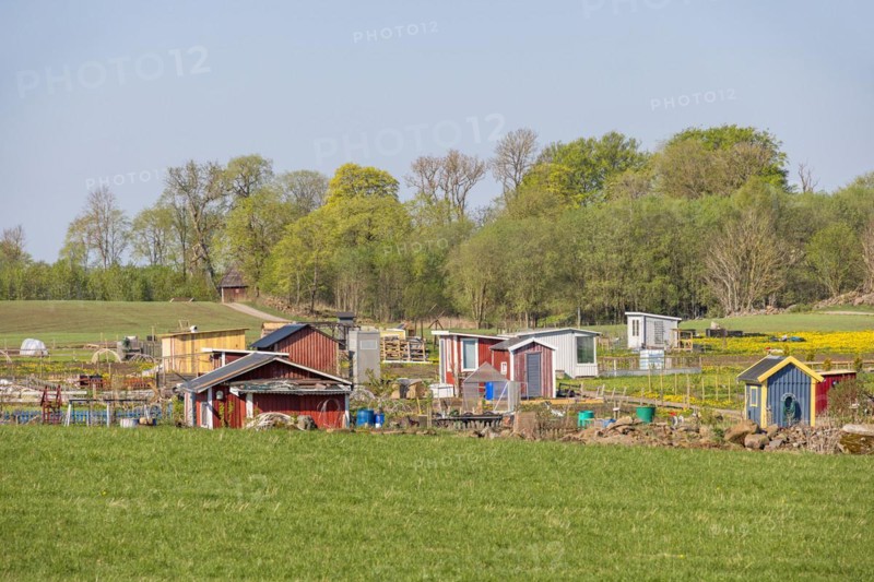 Allotment garden with sheds in the countryside on a beautiful sunny spring day, Sweden, Europe