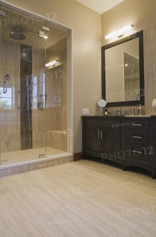 Main bathroom with double steam glass shower stall and vanity in extension inside luxurious log cabin home, Quebec, Canada, North America