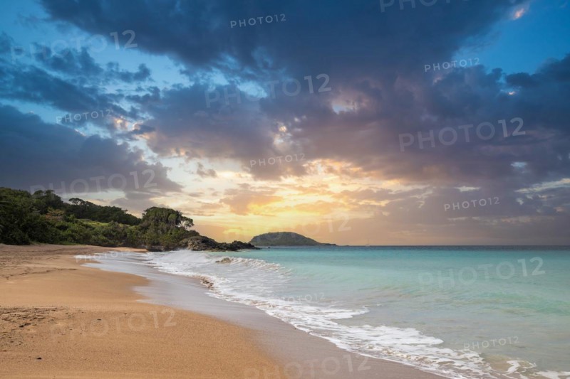 Lonely, wide sandy beach with turquoise-coloured sea. Tropical plants in a bay at sunset in the Caribbean. Plage de Cluny, Basse Terre, Guadeloupe, French Antilles, North America