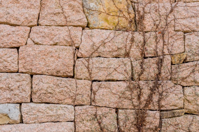 Closeup of vines growing on mountain fortress wall made of flat stones in Boeun, South Korea, Asia