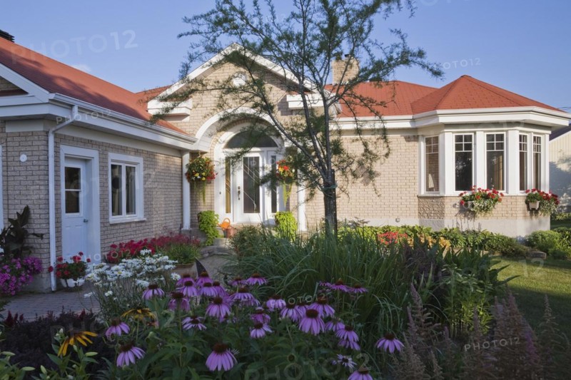 Tan brick with white trim home and landscaped front yard with raised border with red Pelargonium, Geranium flowers, Echinacea purpurea, Coneflowers and white Leucanthemum vulgare, Oxeye daisies in summer, Quebec, Canada, North America
