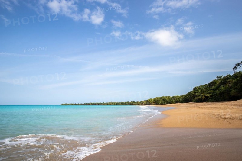 Lonely, wide sandy beach with turquoise-coloured sea. Tropical plants in a bay in the Caribbean sunshine. Plage de Cluny, Basse Terre, Guadeloupe, French Antilles, North America