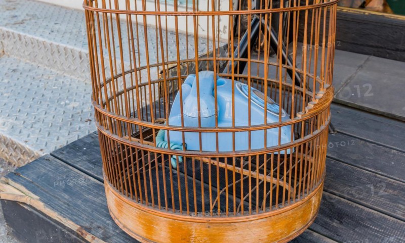 Old style rotary phone sitting in birdcage sitting outside on wooden step in Seoul, South Korea, Asia