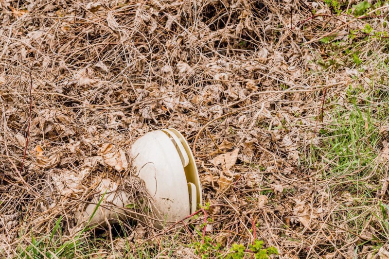 A discarded white helmet seen among fallen leaves and natural debris, in South Korea