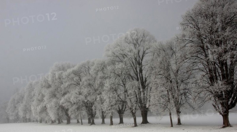Avenue, snow, winterly, pinzgau
