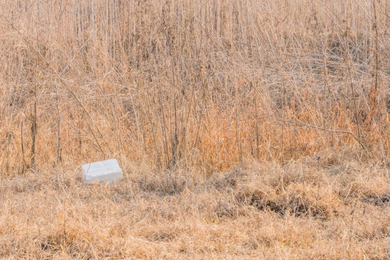 A Styrofoam containe discarded in a field with dry vegetation illustrates a pollution problem, in South Korea