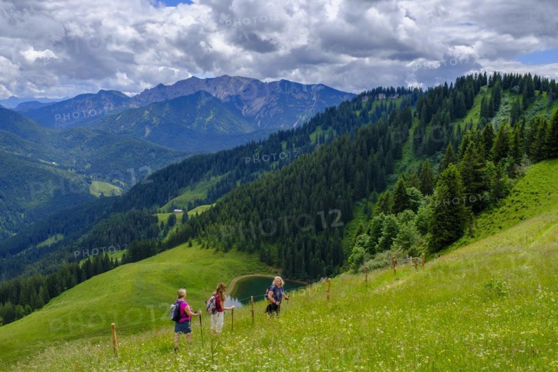 Hiker on the Rosskopf, Rosskopf, Spitzingsee area, Bavarian local mountains, Alps, Upper Bavaria, Bavaria, Germany, Europe