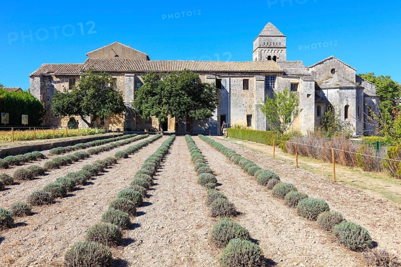 Vincent van Gogh lived until his death in St Paul Hospital, Saint-Remy-de-Provence, Provence-Alpes-Cote d'Azur region, Deparment Bouches-du-Rhone, Provence, France, Europe