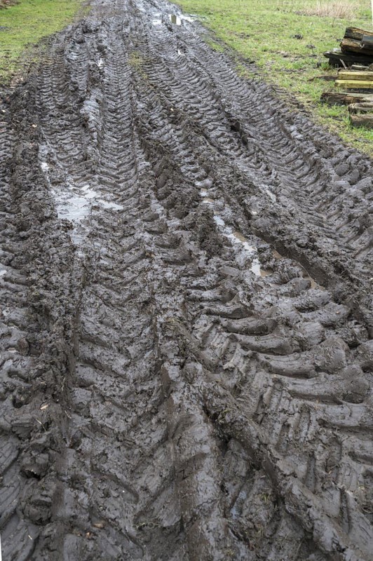 Tractor tyre tracks in softened soil on a farm, Mecklenburg-Vorpommern, Germany, Europe