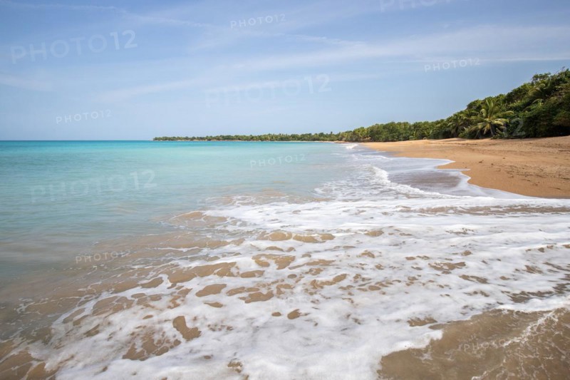 Lonely, wide sandy beach with turquoise-coloured sea. Tropical plants in a bay in the Caribbean sunshine. Plage de Cluny, Basse Terre, Guadeloupe, French Antilles, North America