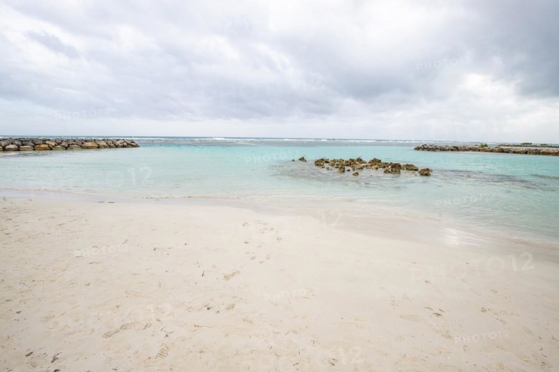 Caribbean dream beach with palm trees, white sandy beach and turquoise-coloured, crystal-clear water in the sea. Shallow bay on a cloudy day. Plage de Sainte Anne, Grande Terre, Guadeloupe, French Antilles, North America