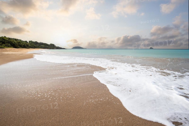 Lonely, wide sandy beach with turquoise-coloured sea. Tropical plants in a bay at sunset in the Caribbean. Plage de Cluny, Basse Terre, Guadeloupe, French Antilles, North America