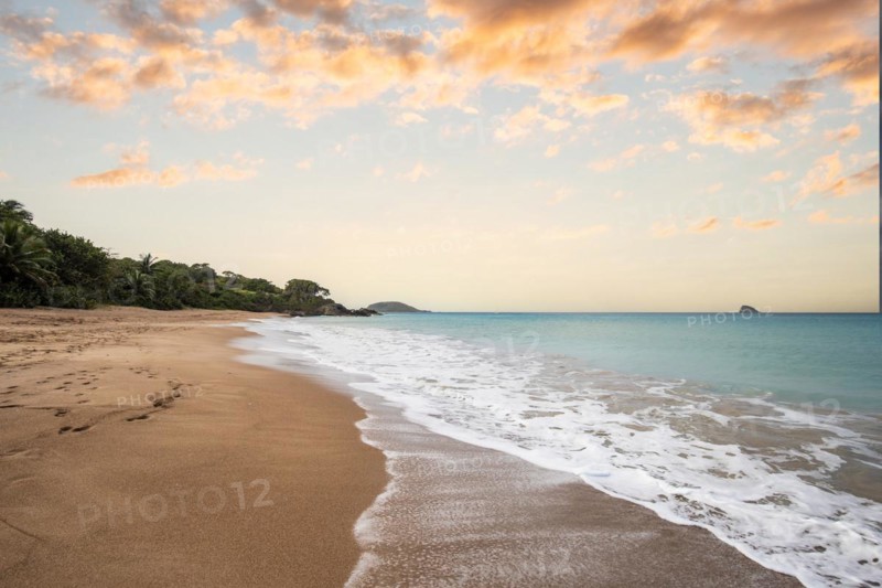 Lonely, wide sandy beach with turquoise-coloured sea. Tropical plants in a bay at sunset in the Caribbean. Plage de Cluny, Basse Terre, Guadeloupe, French Antilles, North America