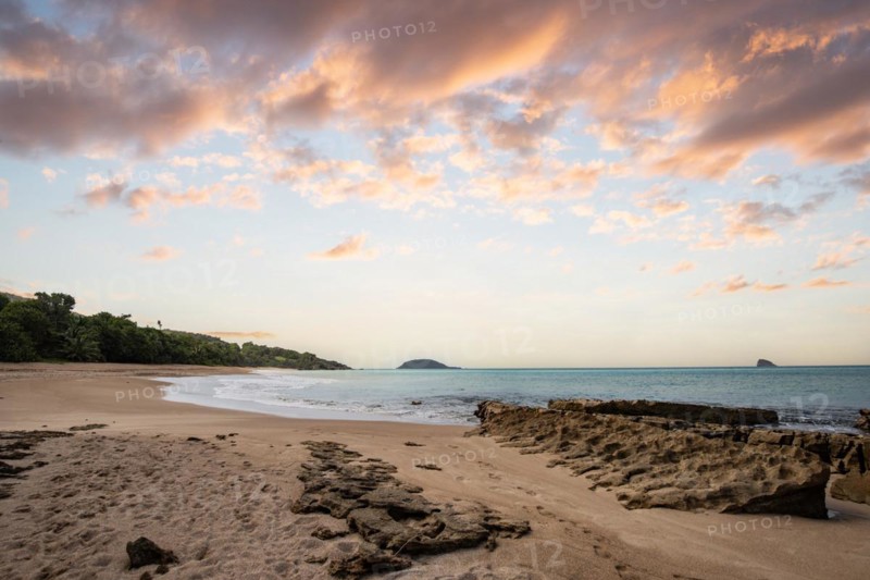 Lonely, wide sandy beach with turquoise-coloured sea. Tropical plants in a bay at sunset in the Caribbean. Plage de Cluny, Basse Terre, Guadeloupe, French Antilles, North America