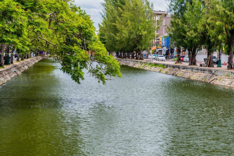 Canal water reflects the surrounding urban greenery and sky with tree branches overhanging, in Chiang Mai, Thailand, Asia