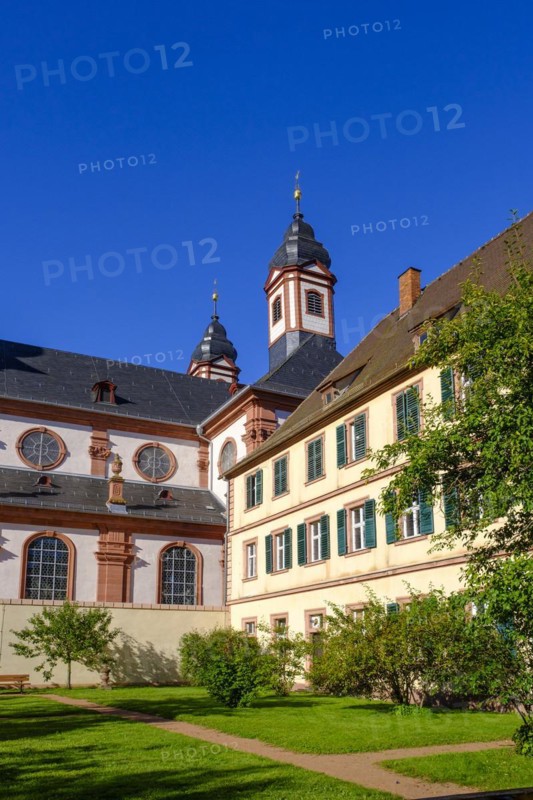 Monastery church, abbey church, Amorbach Monastery, Mainfranken, Lower Franconia, Franconia, Bavaria, Germany, Europe