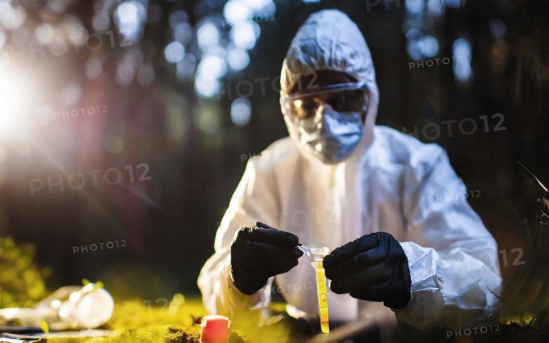 Securing evidence at a crime scene in the forest, KTU, forensic investigation by the criminal investigation department, KI generated, AI generated