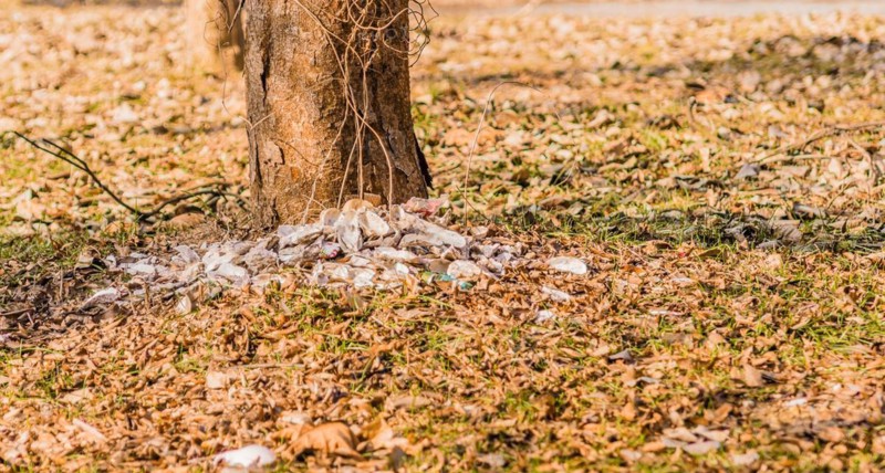 Scattered trash lies around the base of a tree amid fallen leaves, in South Korea