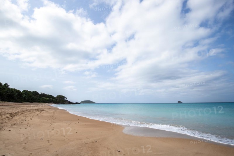 Lonely, wide sandy beach with turquoise-coloured sea. Tropical plants in a bay in the Caribbean sunshine. Plage de Cluny, Basse Terre, Guadeloupe, French Antilles, North America