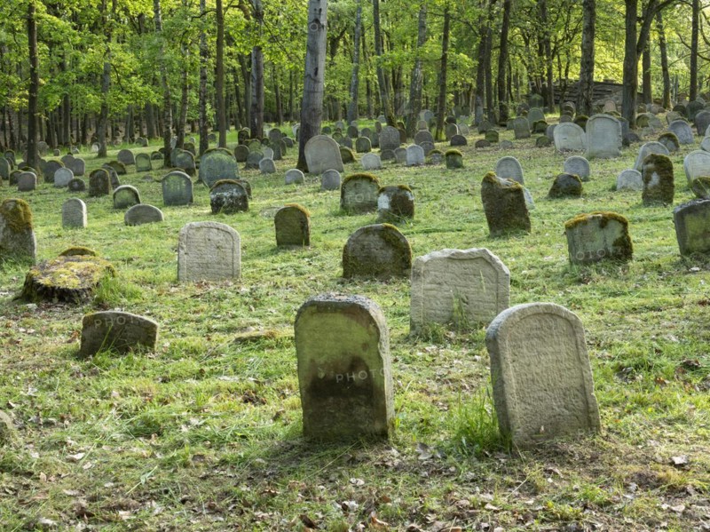 Old Jewish cemetery on the Judenhuegel near Kleinbardorf, municipality of Sulzfeld, Hassberge, Rhoen-Grabfeld, Lower Franconia, Bavaria, Germany, Europe