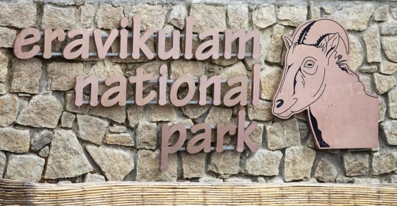 Lettering Eravikulam National Park, Kannan Devan Hills, Munnar, Kerala, India, Asia
