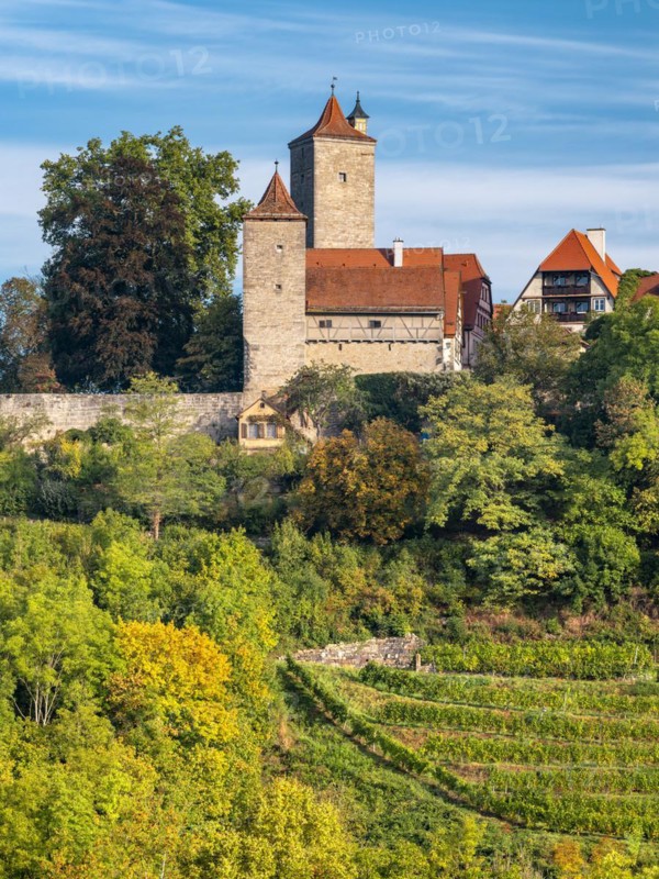 View of the historic old town with town wall, defence towers and vineyard, Rothenburg ob der Tauber, Middle Franconia, Bavaria, Germany, Europe