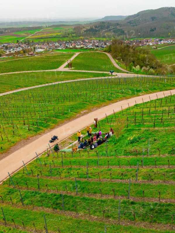 People walking on a path that winds through a vineyard, Jesus Grace Chruch, Weitblickweg, Easter hike, Hohenhaslach, Germany, Europe