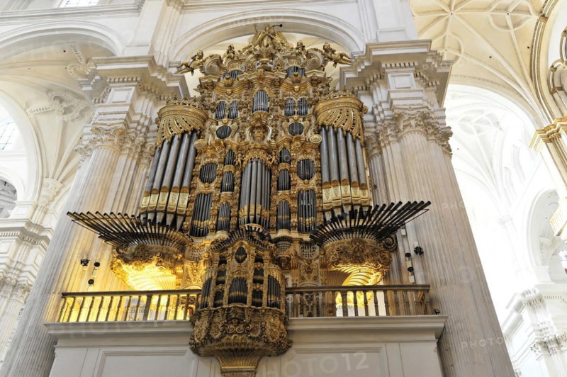 Organ, Cathedral of Santa Maria de la Encarnacion, Cathedral of Granada, Baroque organ in a church with golden decoration against a white background, Granada, Andalusia, Spain, Europe