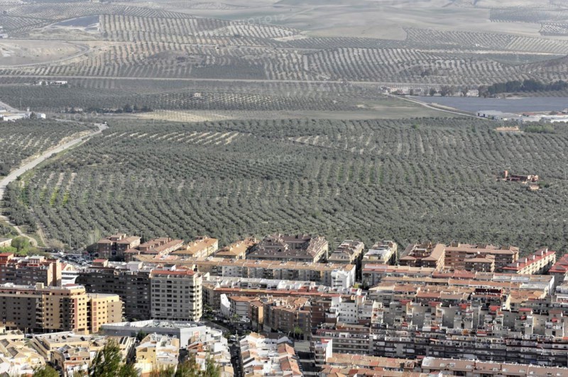 View from Castillo de Santa Catalina, modern new buildings, partial view of Jaen, Andalusia, panoramic view of a city with surrounding olive groves and hilly landscape, Granada, Andalusia, Spain, Europe