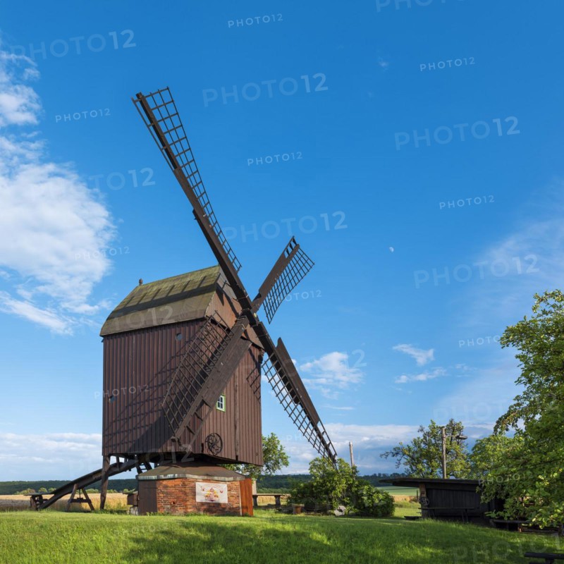Mill, windmill, trestle windmill, Anderbeck, Saxony-Anhalt, Germany, Europe