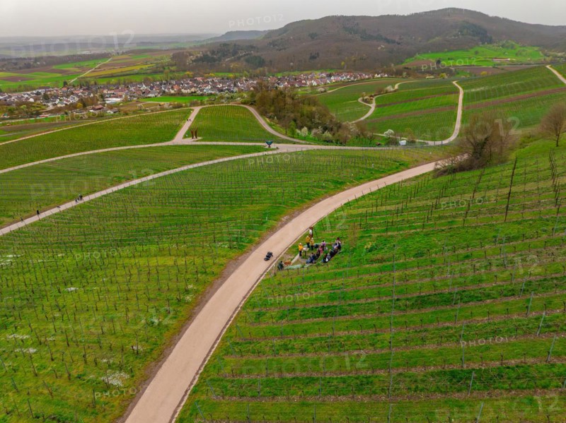 Aerial view of a winding road with people and bicycles between green vineyards on a cloudy day, Jesus Grace Chruch, Weitblickweg, Easter hike, Hohenhaslach, Germany, Europe