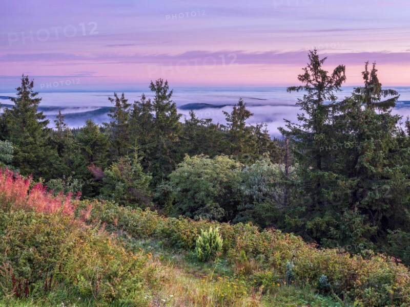 Morning atmosphere with dawn red and morning fog on the Schneekopf in the Thuringian Forest, view over endless forests, above the clouds, Gehlberg, Thuringia, Germany, Europe