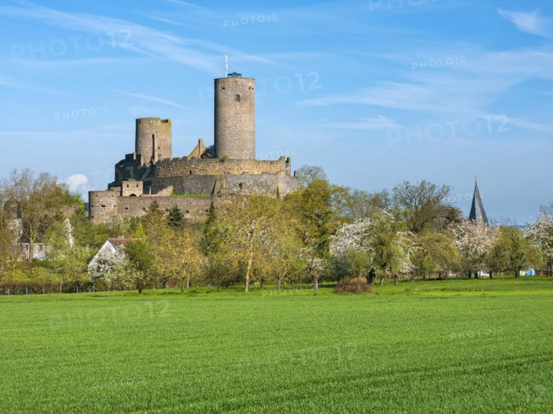 Muenzenberg Castle in the Wetterau in spring, Muenzenberg, Wetterau, Hesse, Germany, Europe