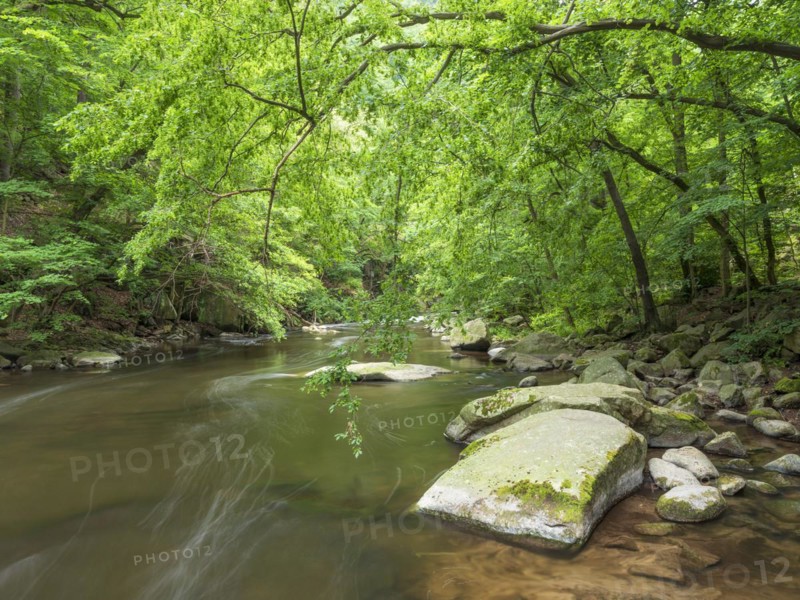 The River Bode with rapids and boulders in the Bode Valley between Thale and Treseburg, Harz National Park, Thale, Saxony-Anhalt, Germany, Europe